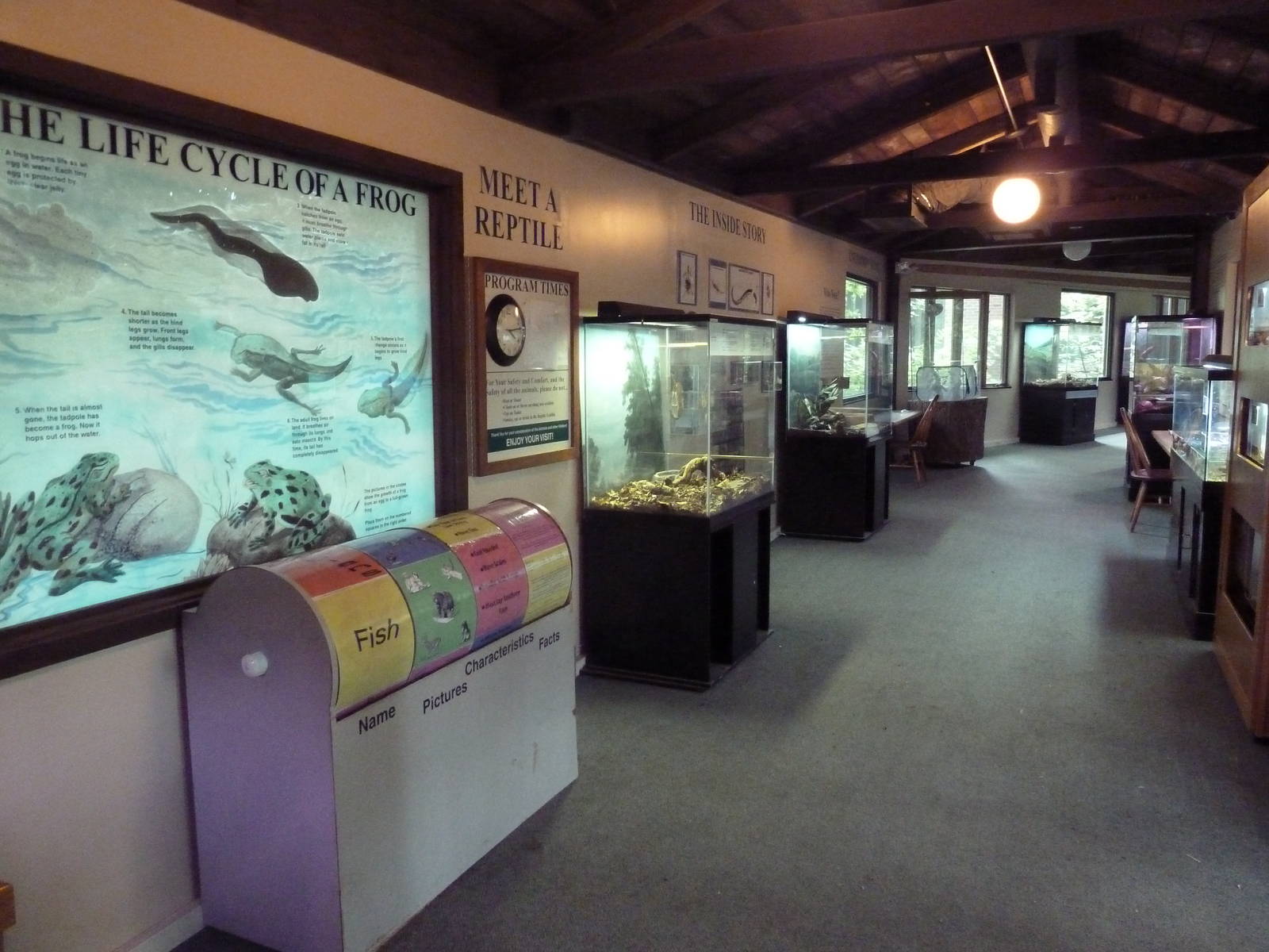 Reptile House (interior)