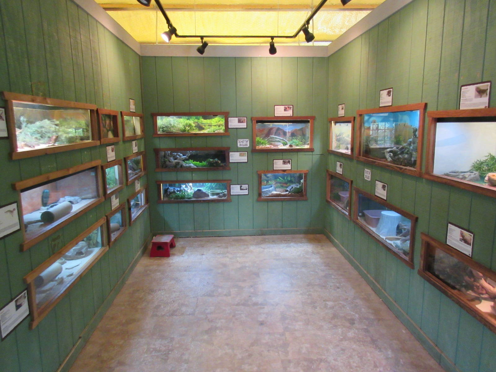 Reptile House - Interior