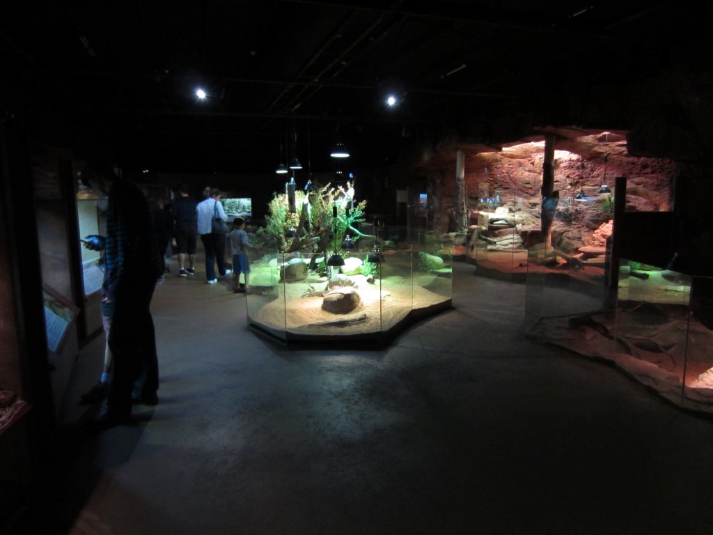 Reptile House interior