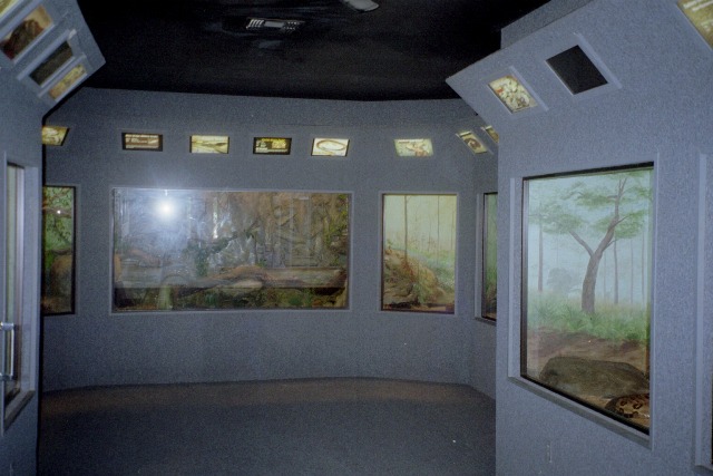 Reptile House Interior