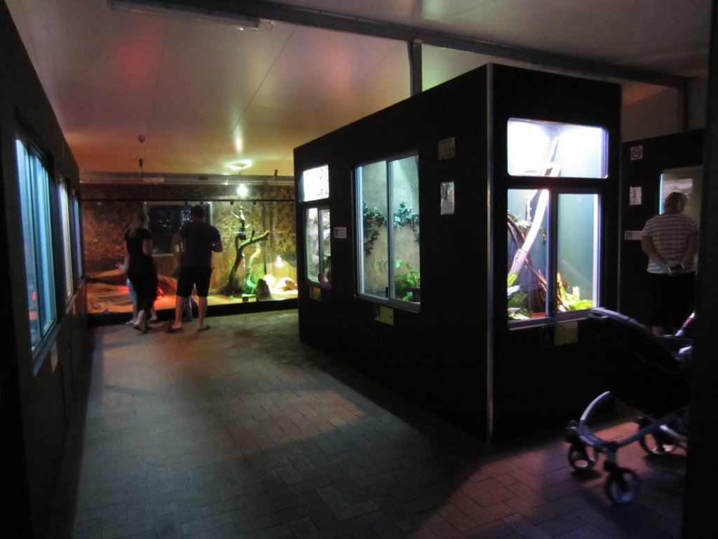 Reptile House interior