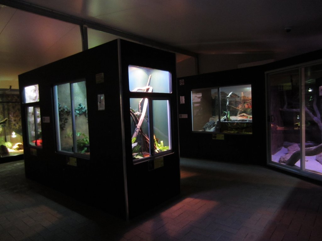 Reptile House interior