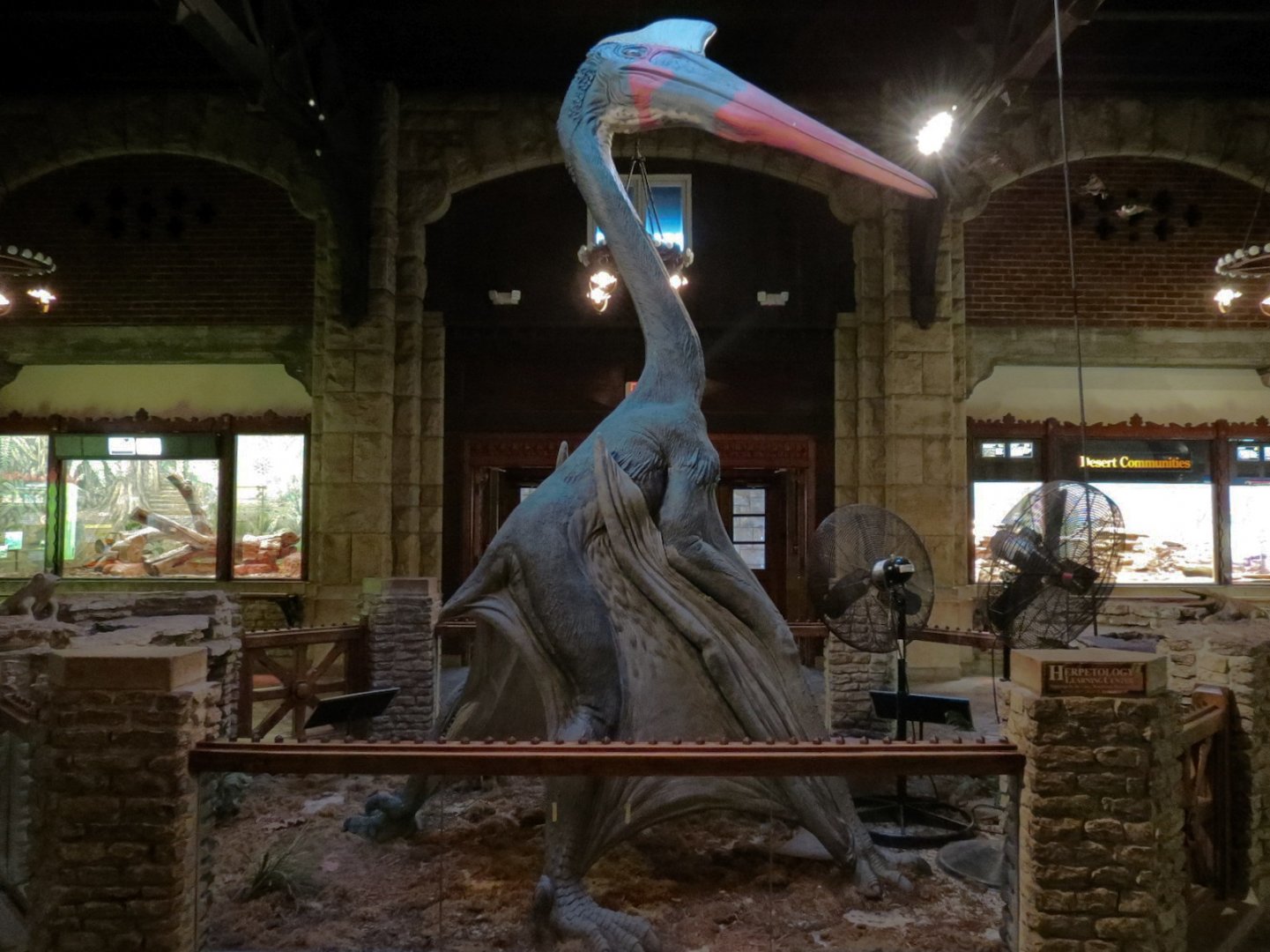 Reptile House - Interior