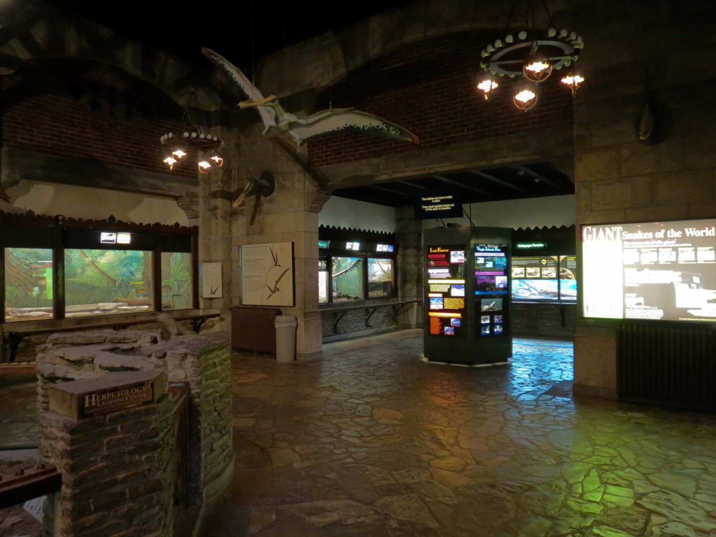 Reptile House - Interior