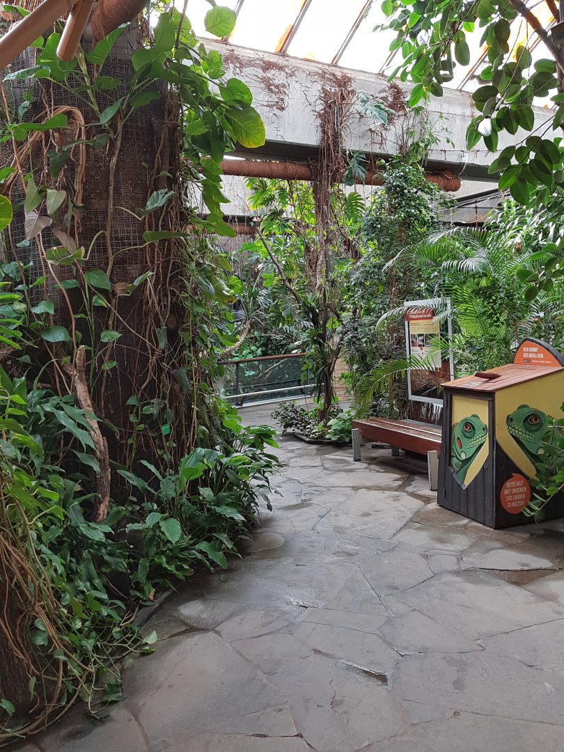 Reptile house interior