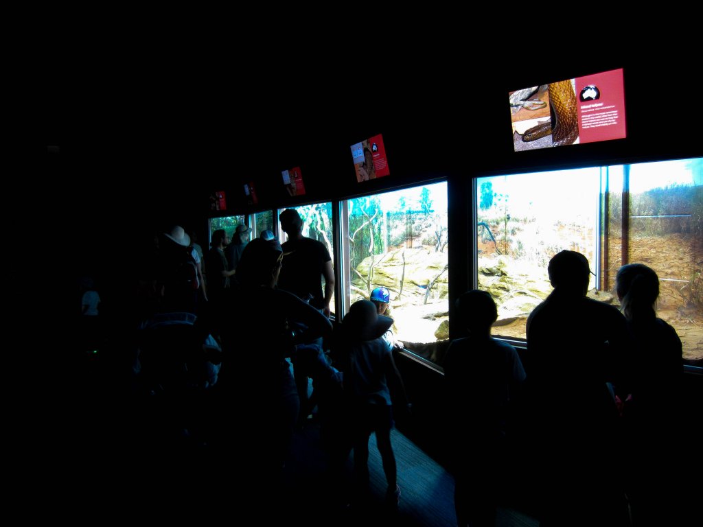 Reptile House Interior