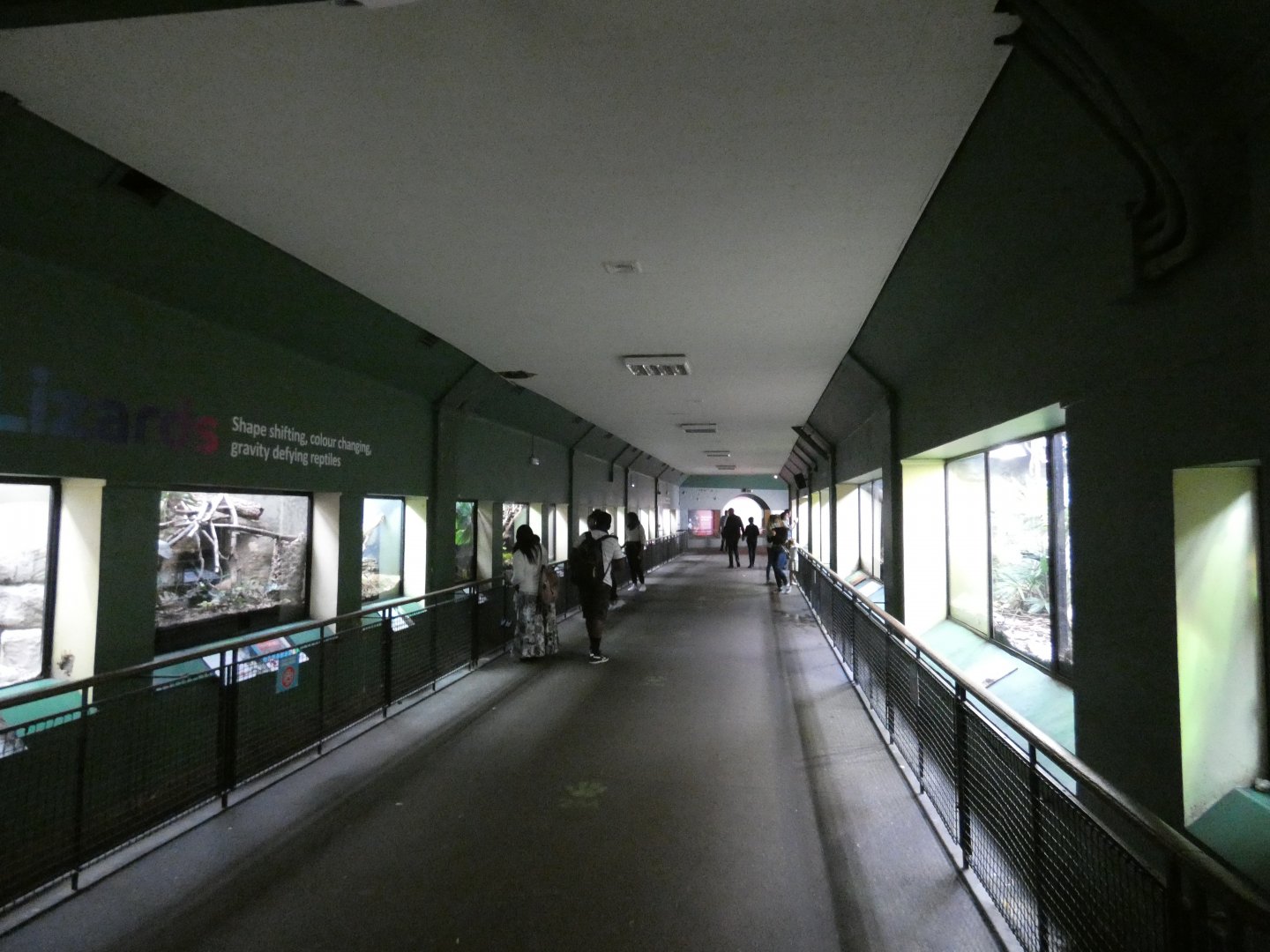 Reptile house interior