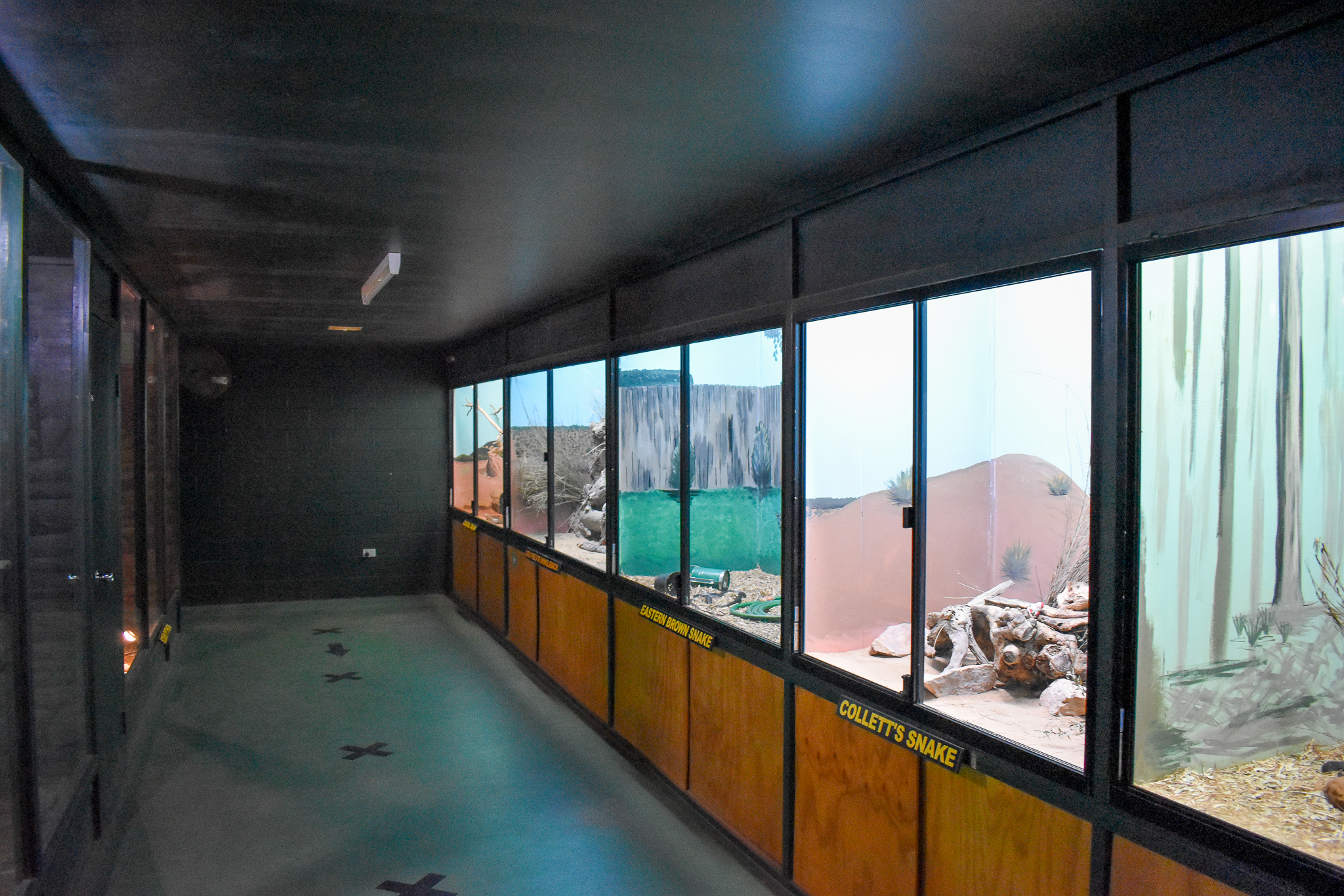 Reptile House Interior