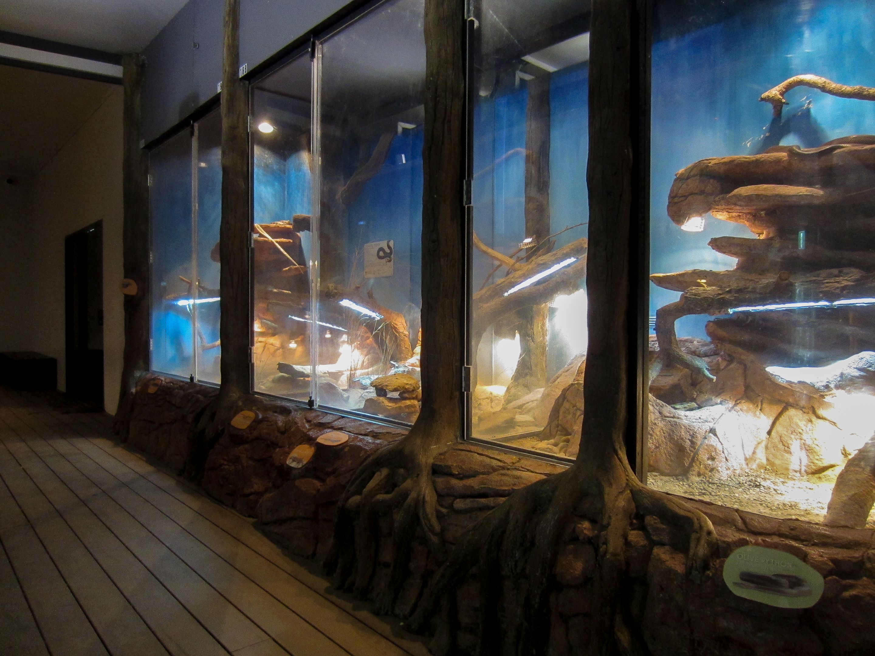 Reptile house interior