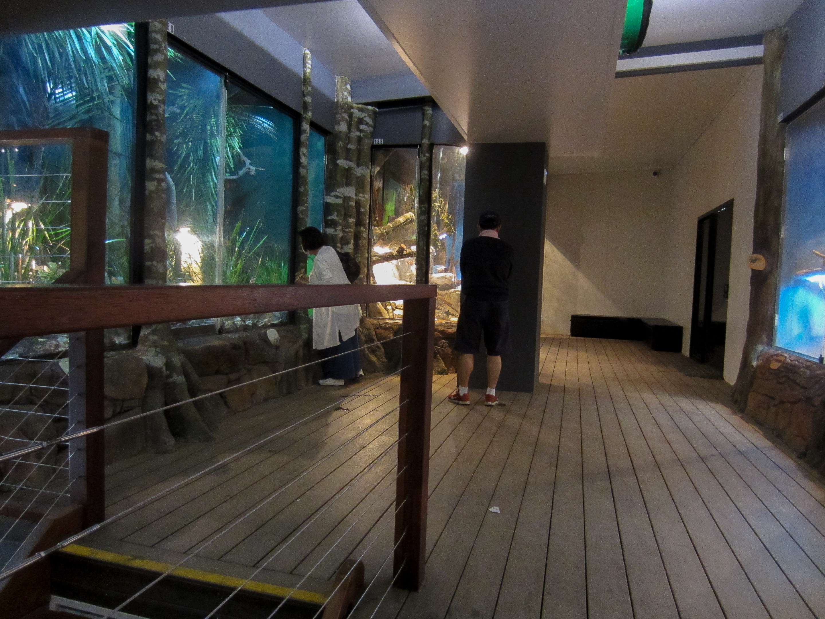 Reptile house interior