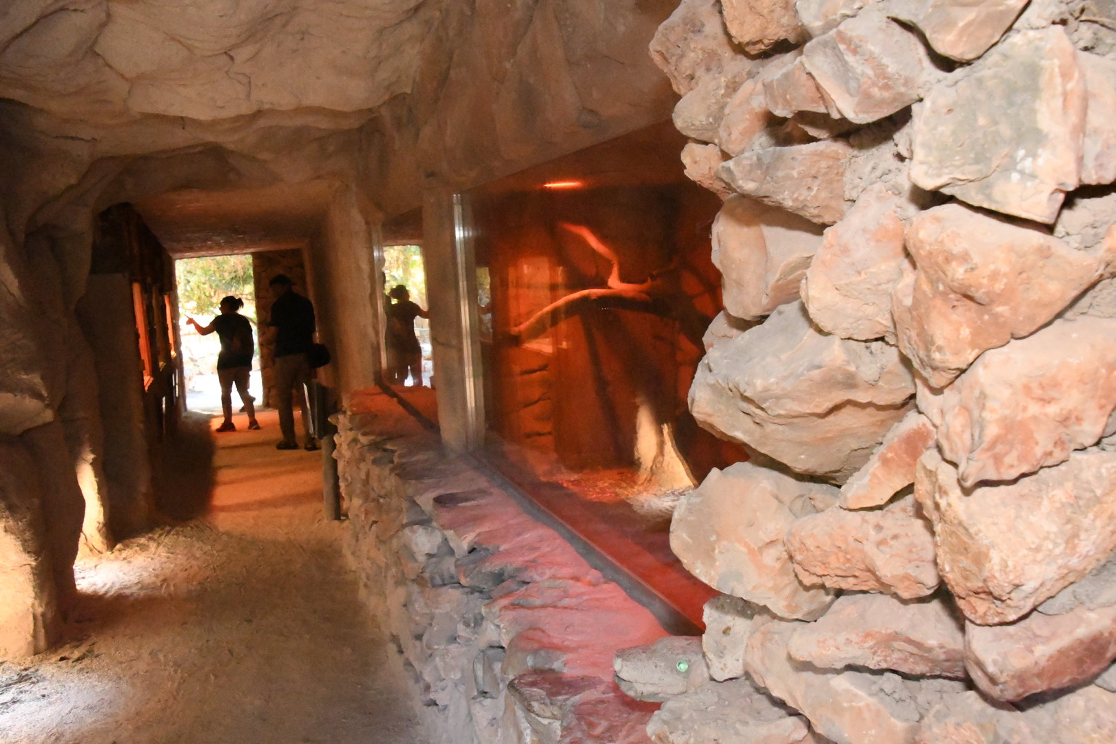 Reptile House Interior