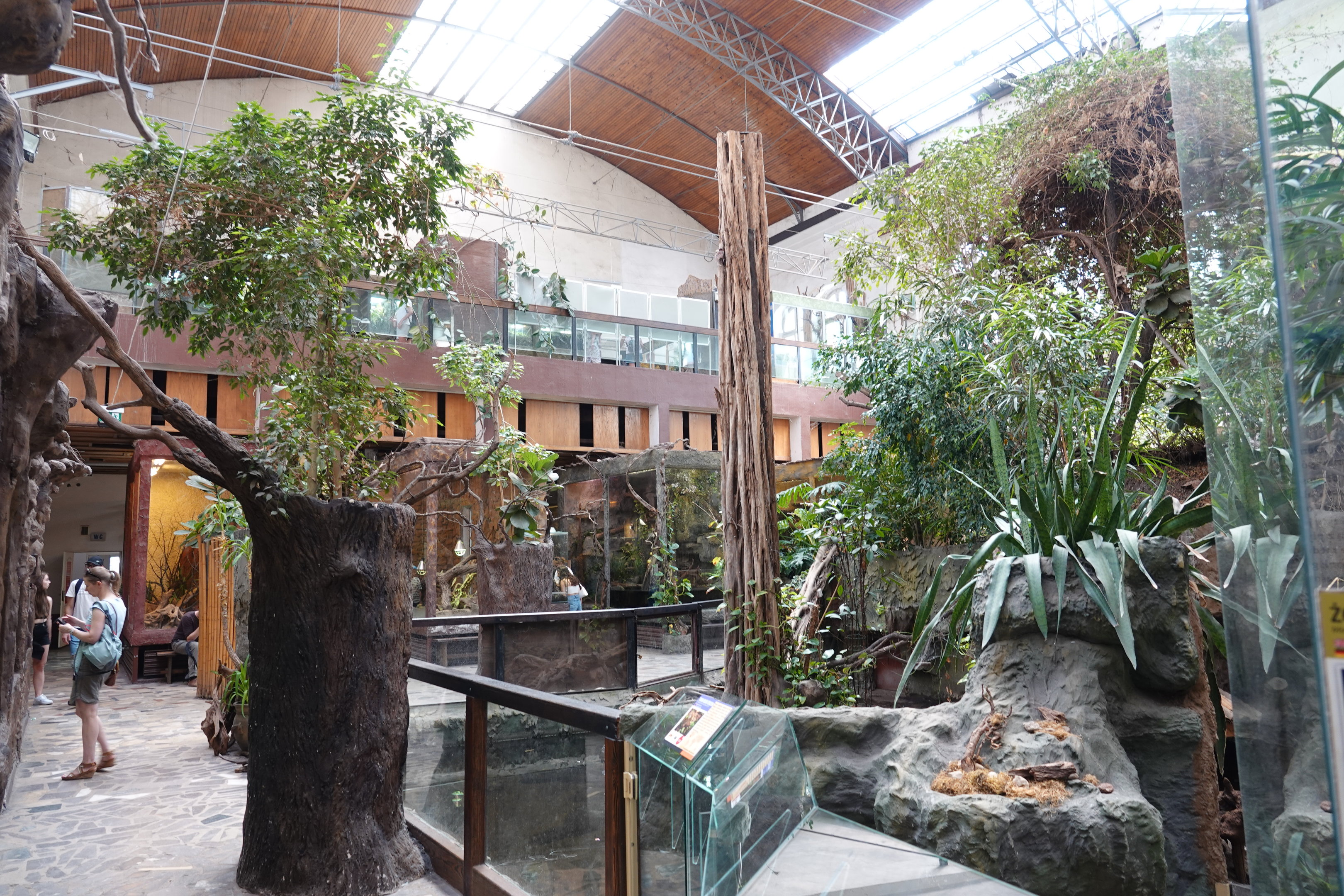 Reptile house interior