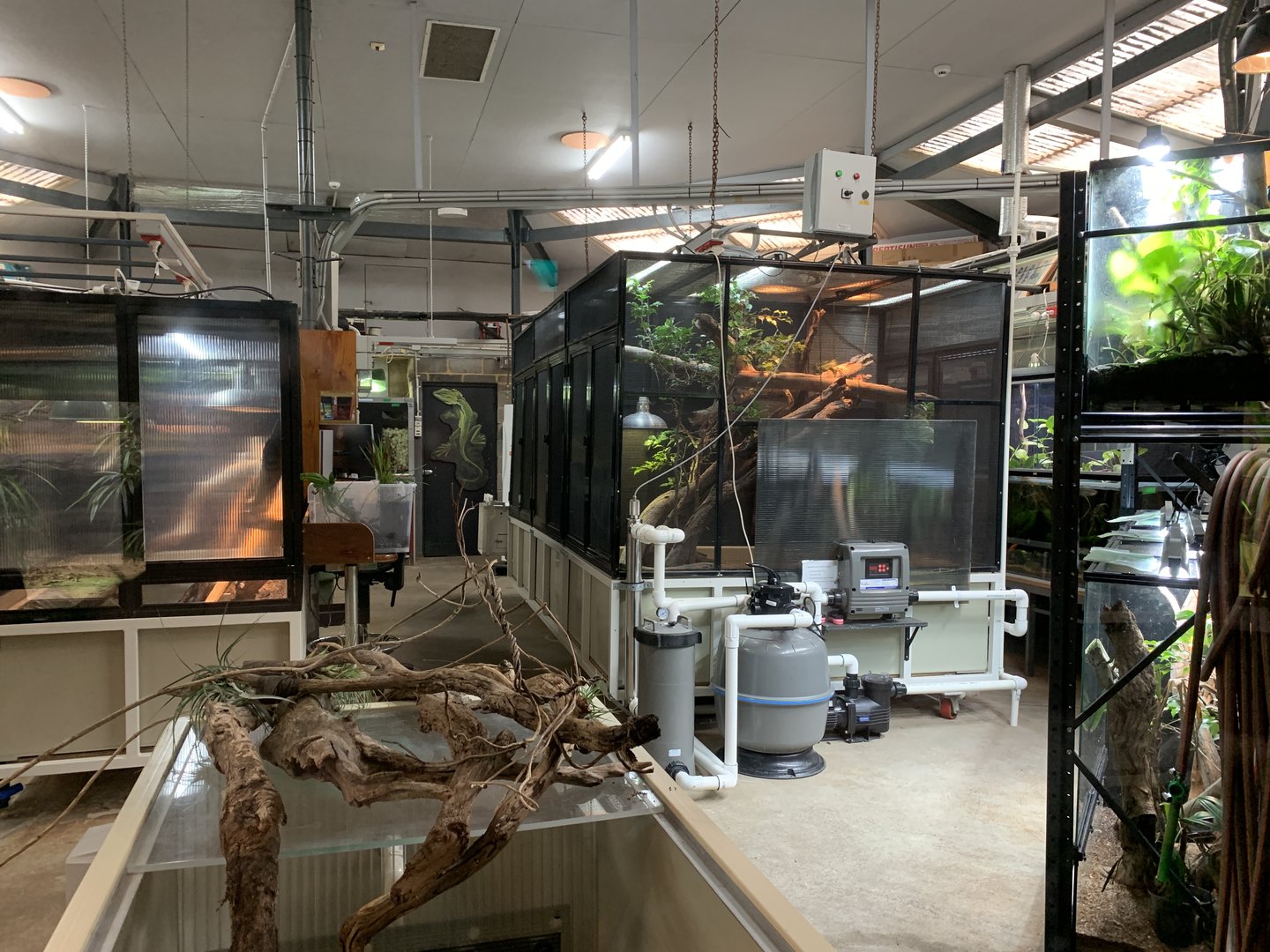 Reptile House Interior