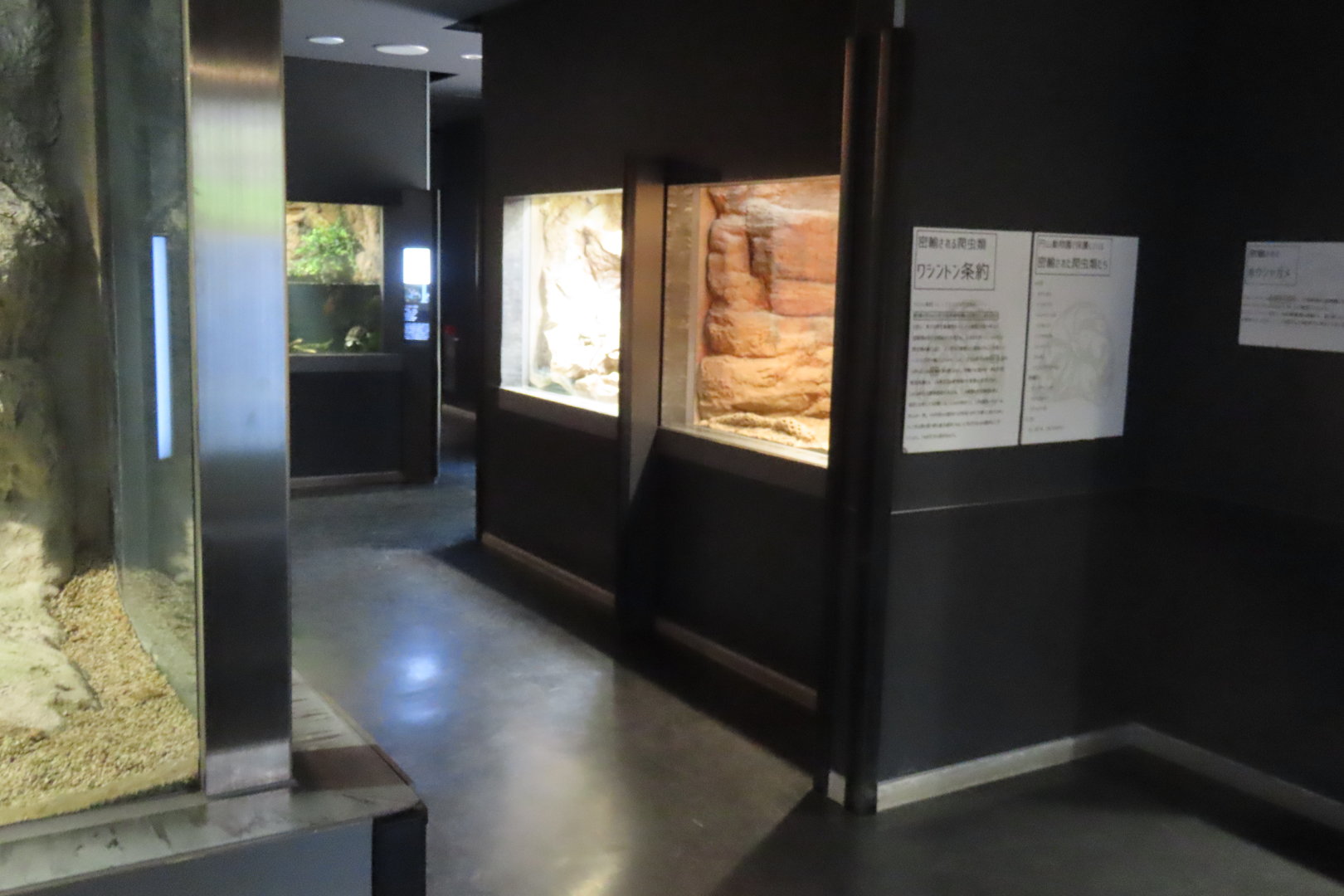 Reptile house interior