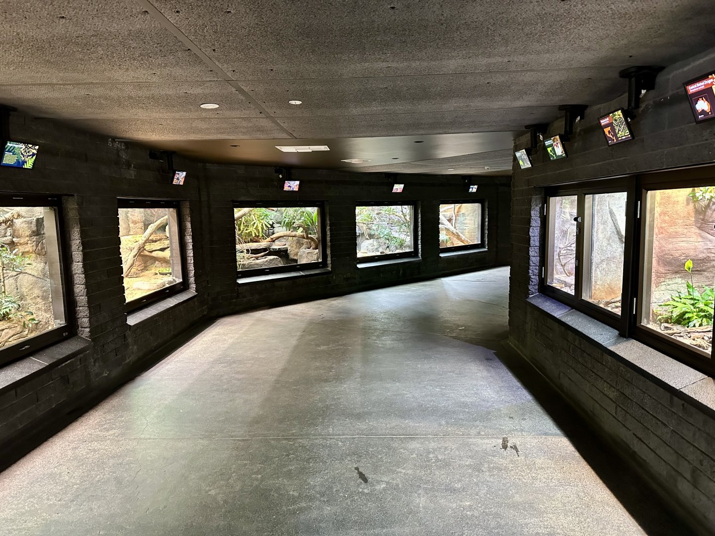 Reptile House (Interior)