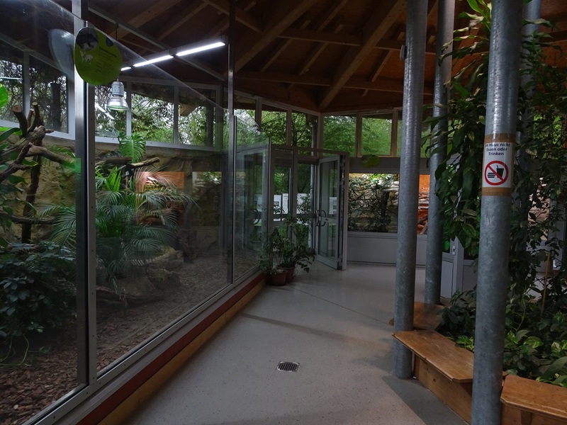 Reptile house interior