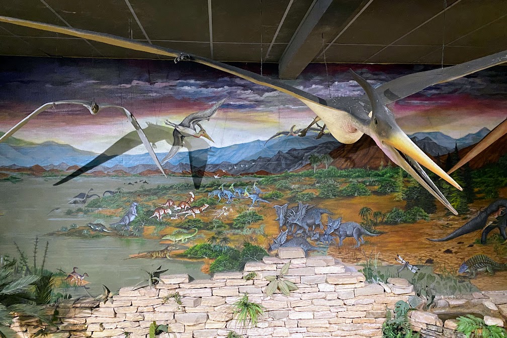 Reptile House Interior