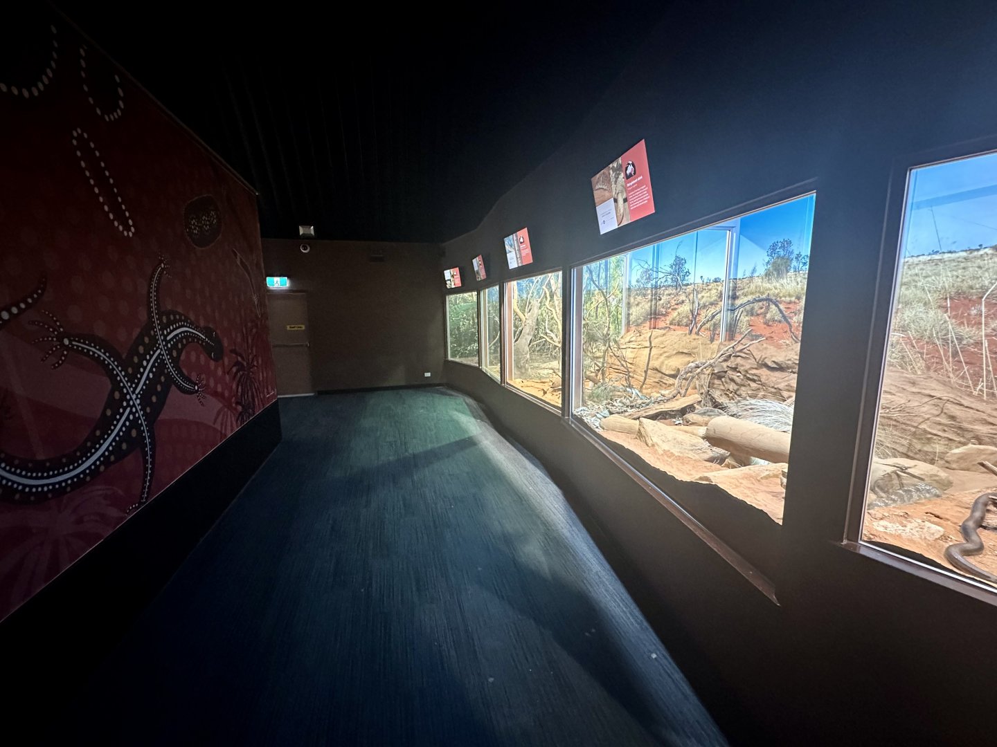 Reptile House Interior