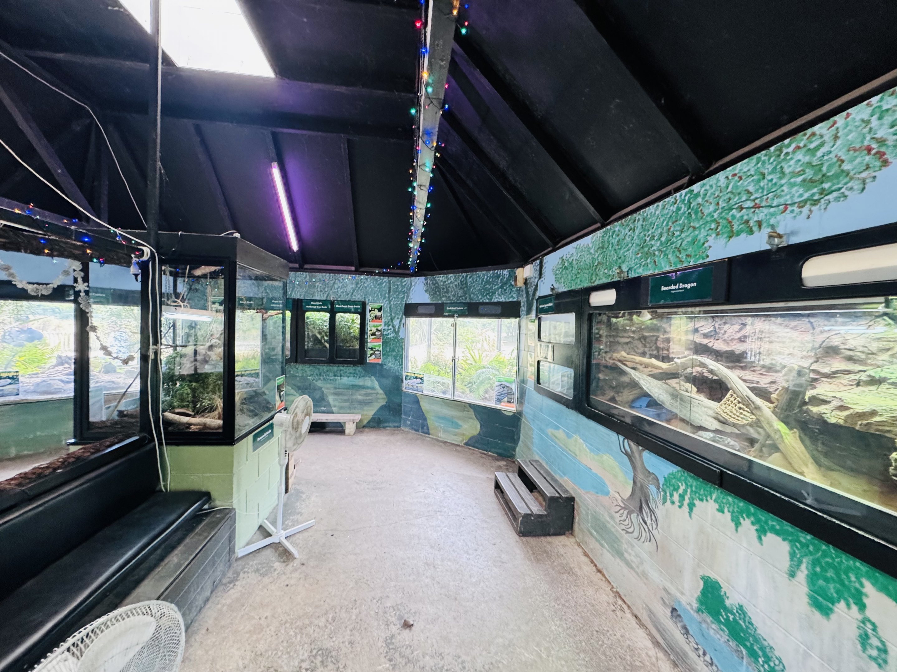 Reptile house interior