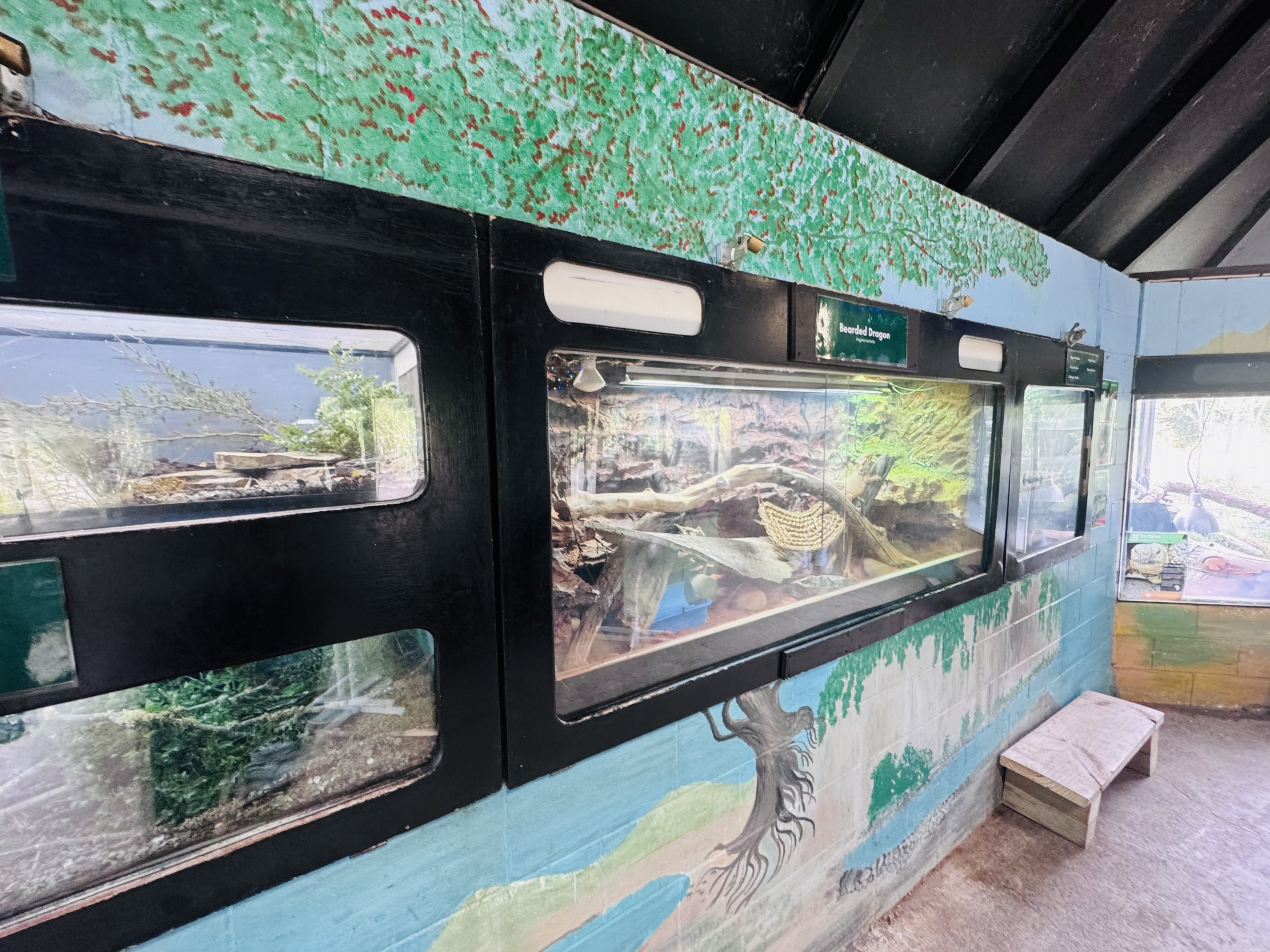 Reptile house interior