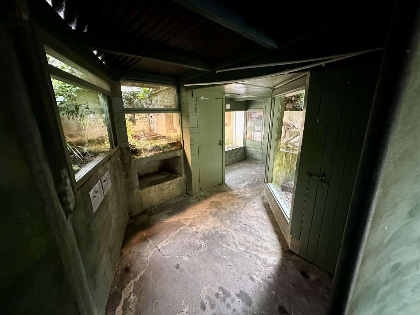 Reptile House (Interior)