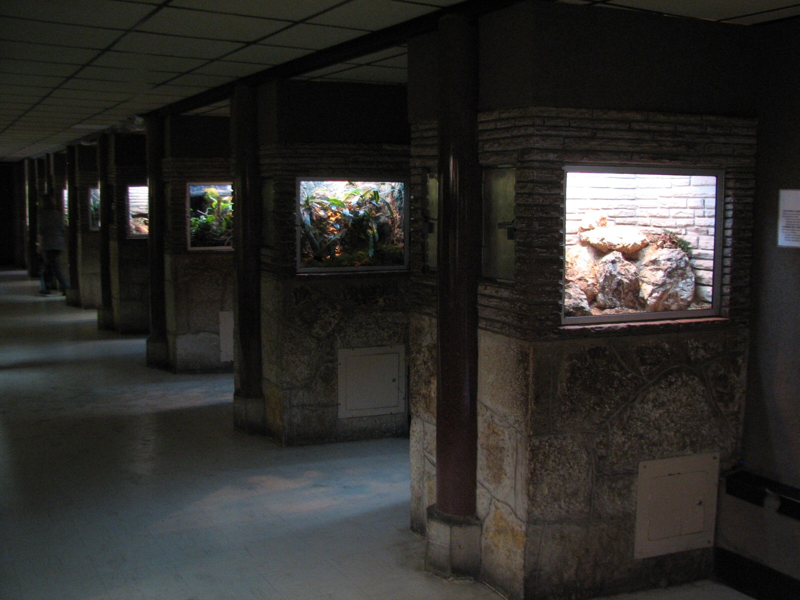 Reptile House - Interior