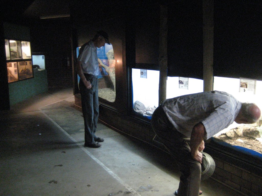 Reptile house interior