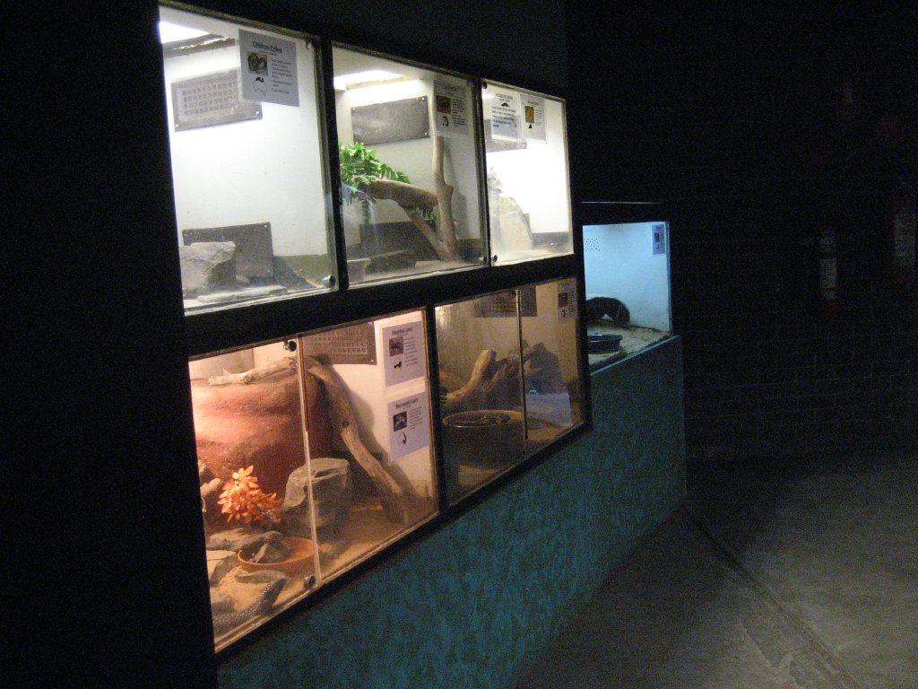 Reptile House interior