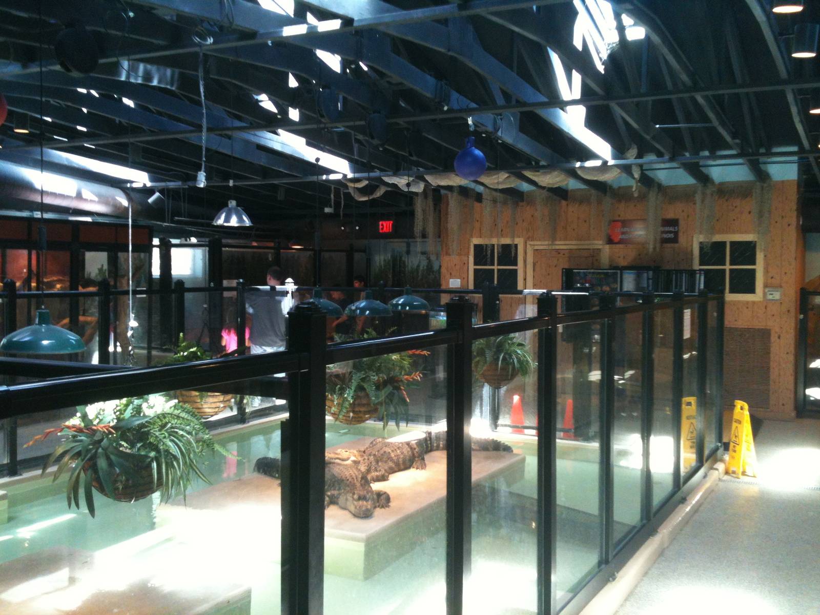 Reptile House. June 2012