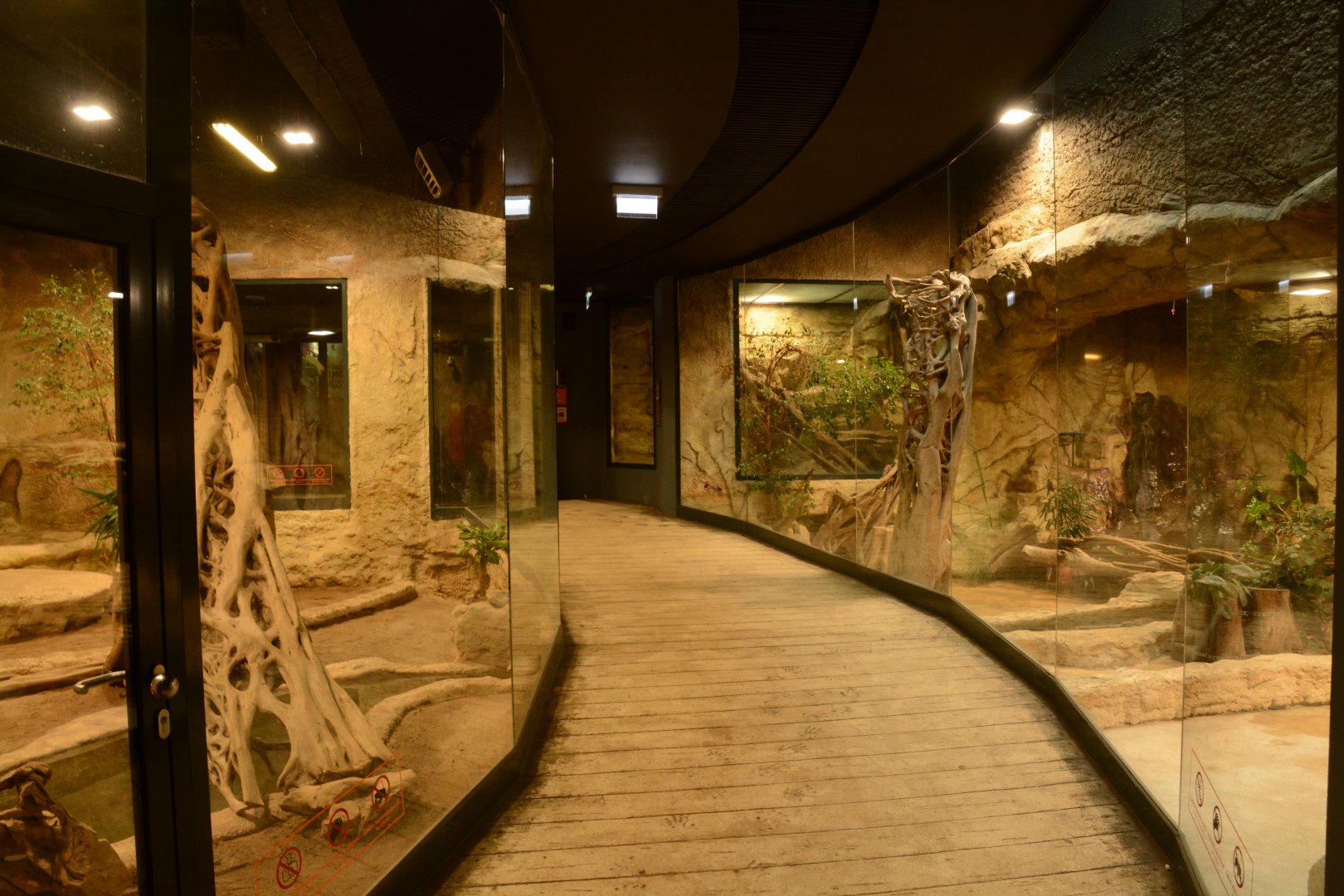 Reptile house - Komodo Dragon enclosures
