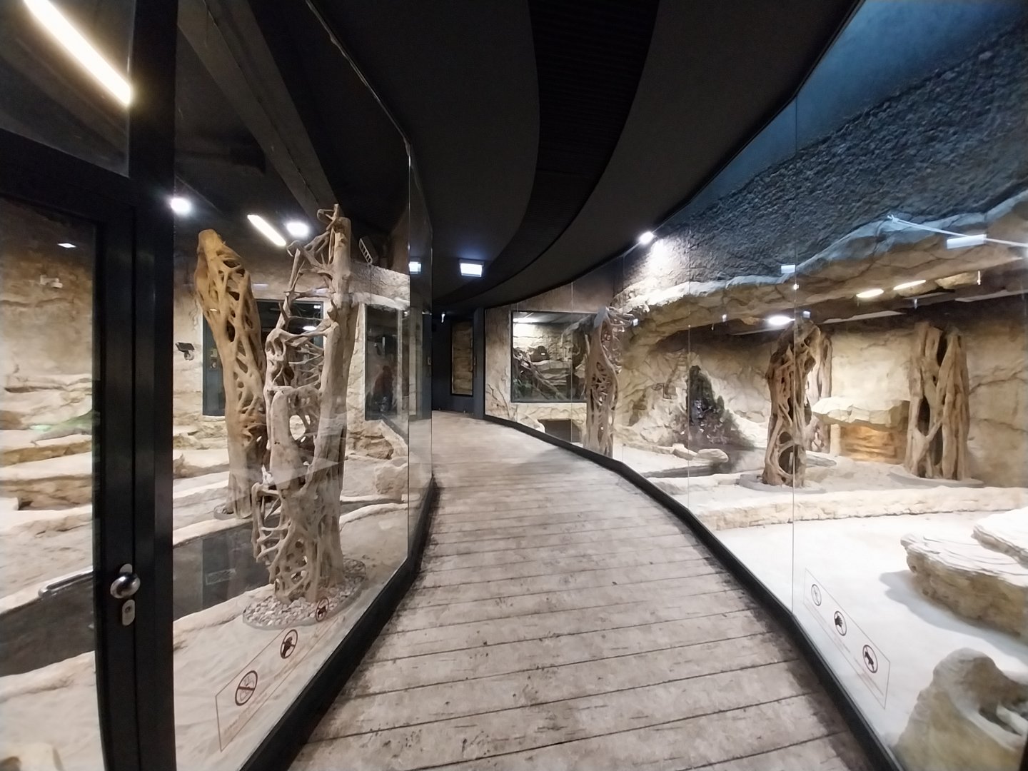 Reptile House - Komodo dragon enclosures