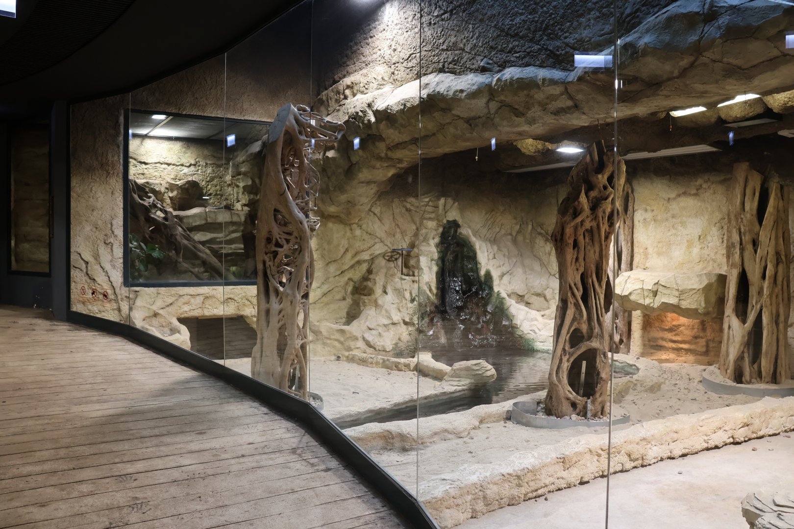 Reptile house - Komodo dragon (left) enclosure