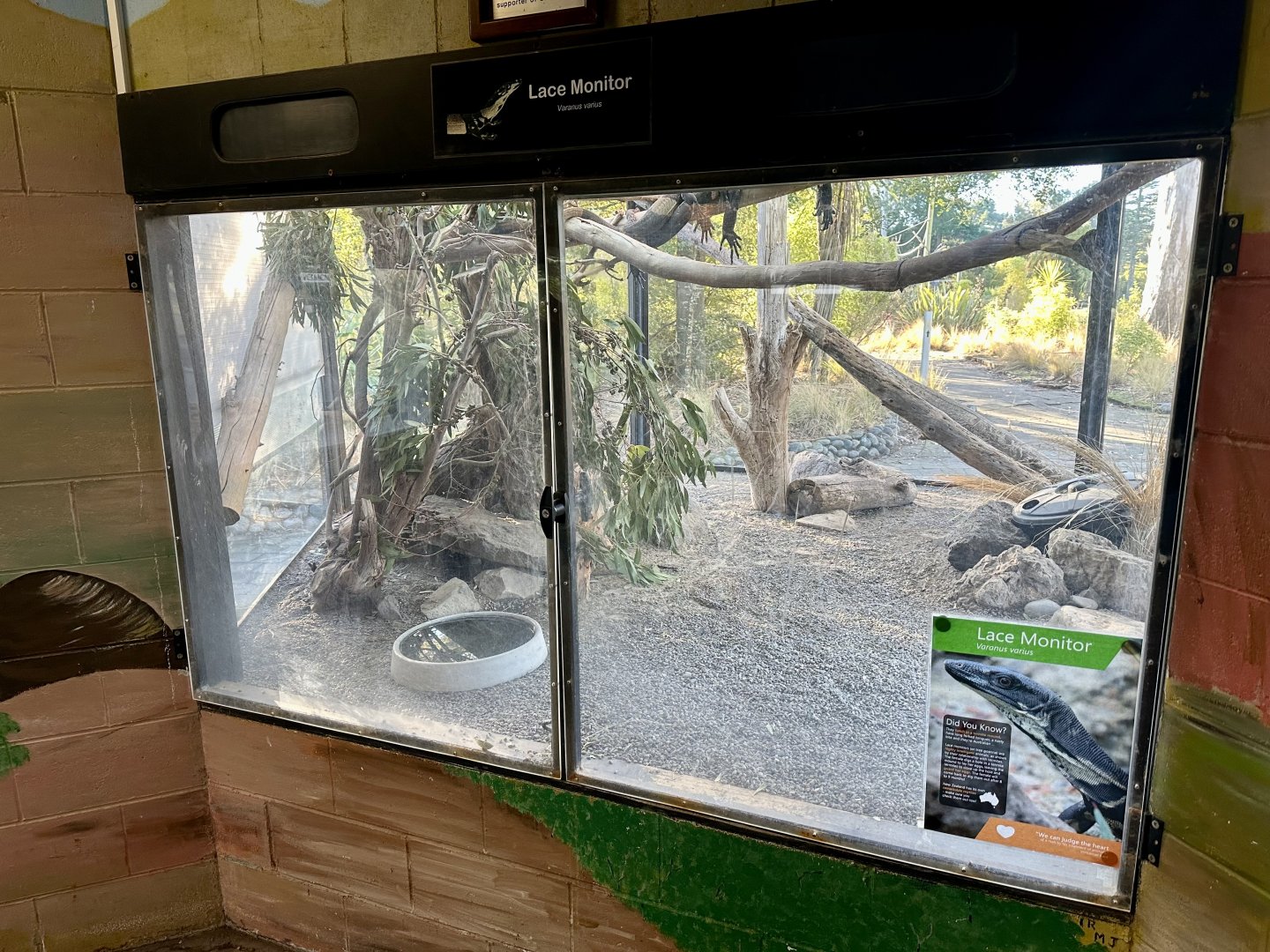 Reptile House (Lace Monitor Exhibit)