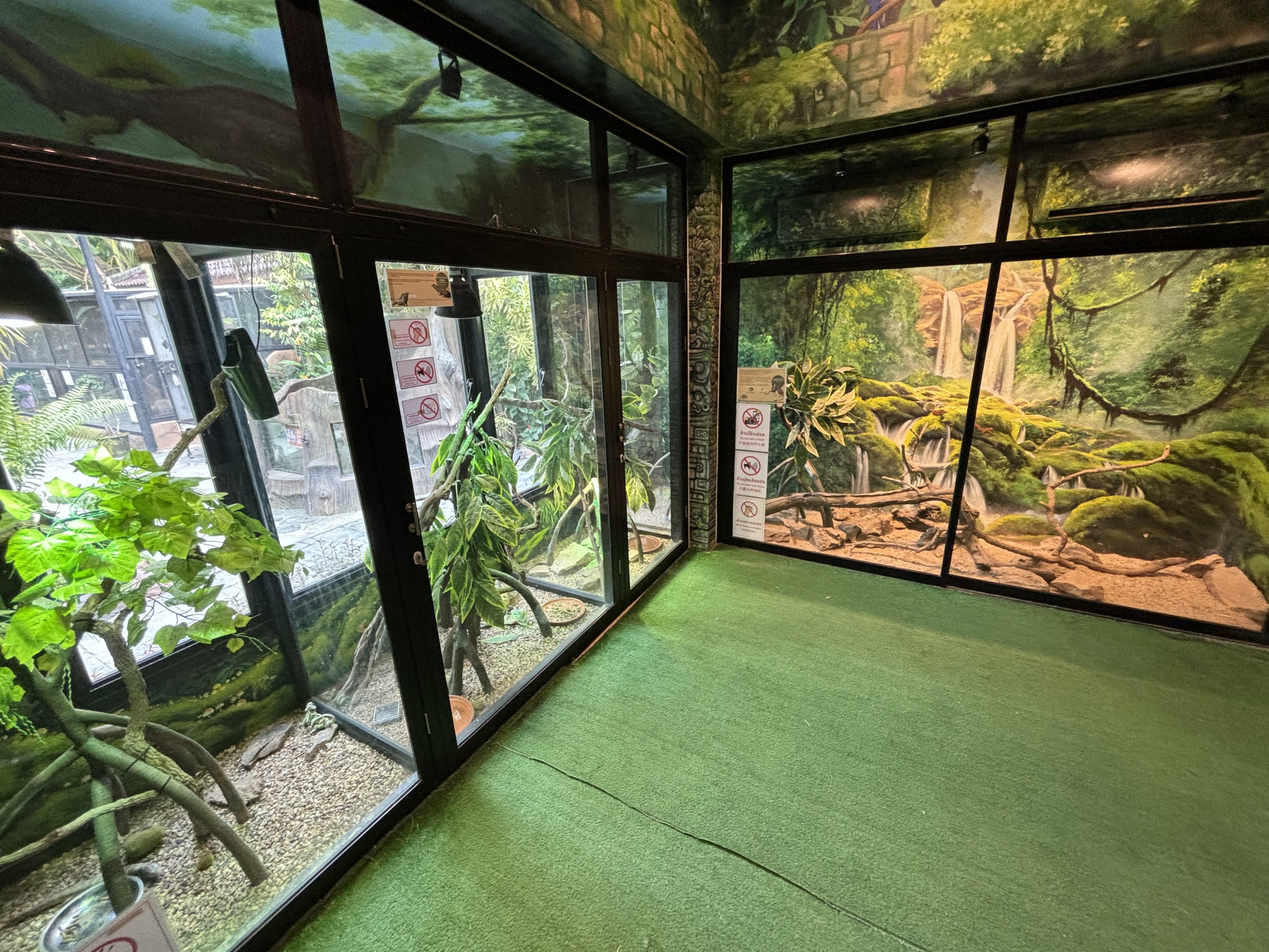 Reptile House - Lanna Mini Zoo