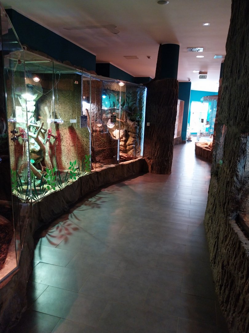Reptile House - Lizard section