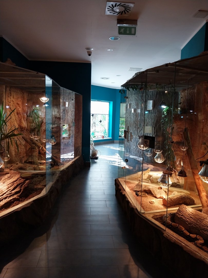 Reptile House - Lizards & Boa constrictor