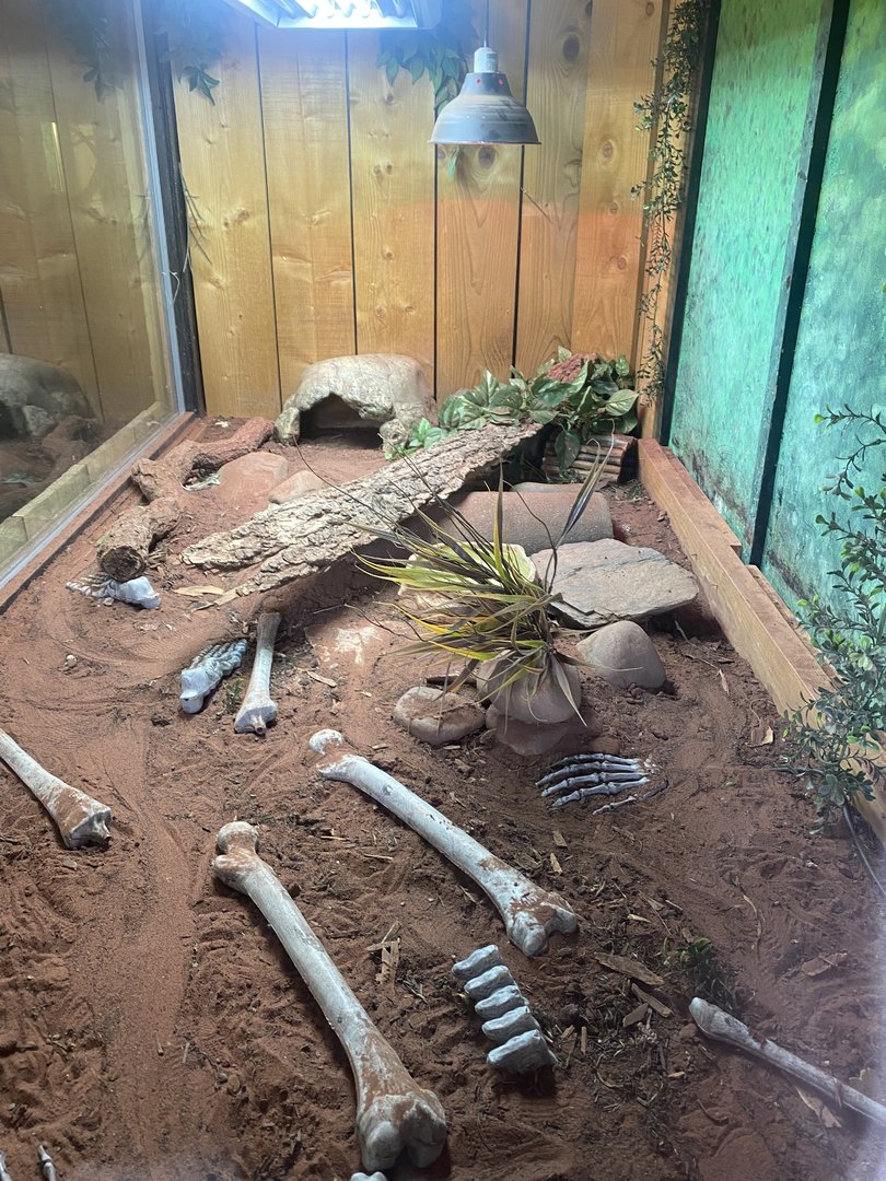 Reptile House - Mexican beaded lizard exhibit 231022