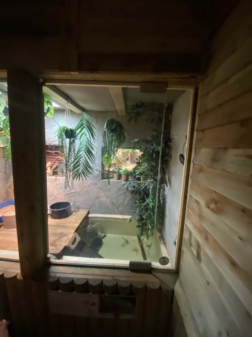 Reptile House - Mixed exhibit 030924