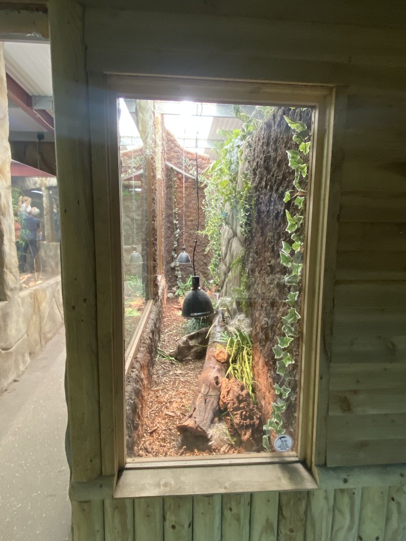 Reptile House - Mixed exhibit 030924