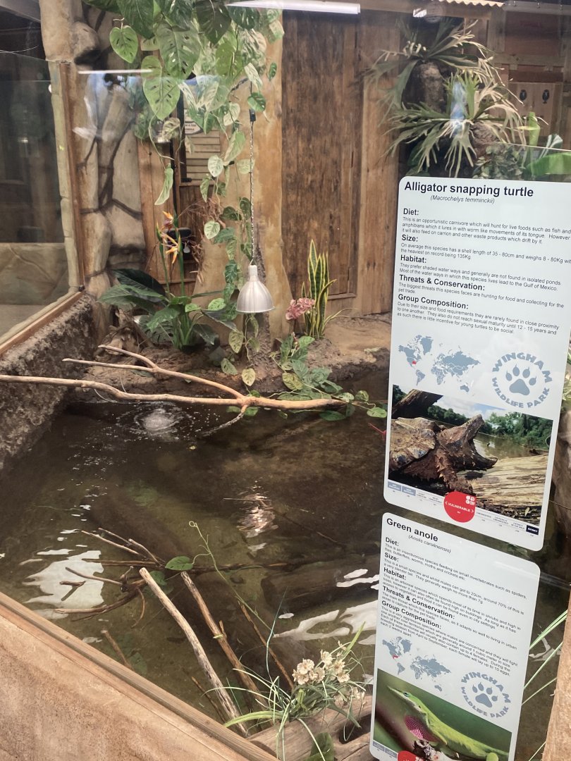 Reptile House - Mixed exhibit 030924