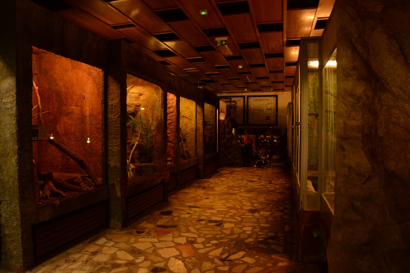 Reptile house - Monitor Lizards and small crocodiles