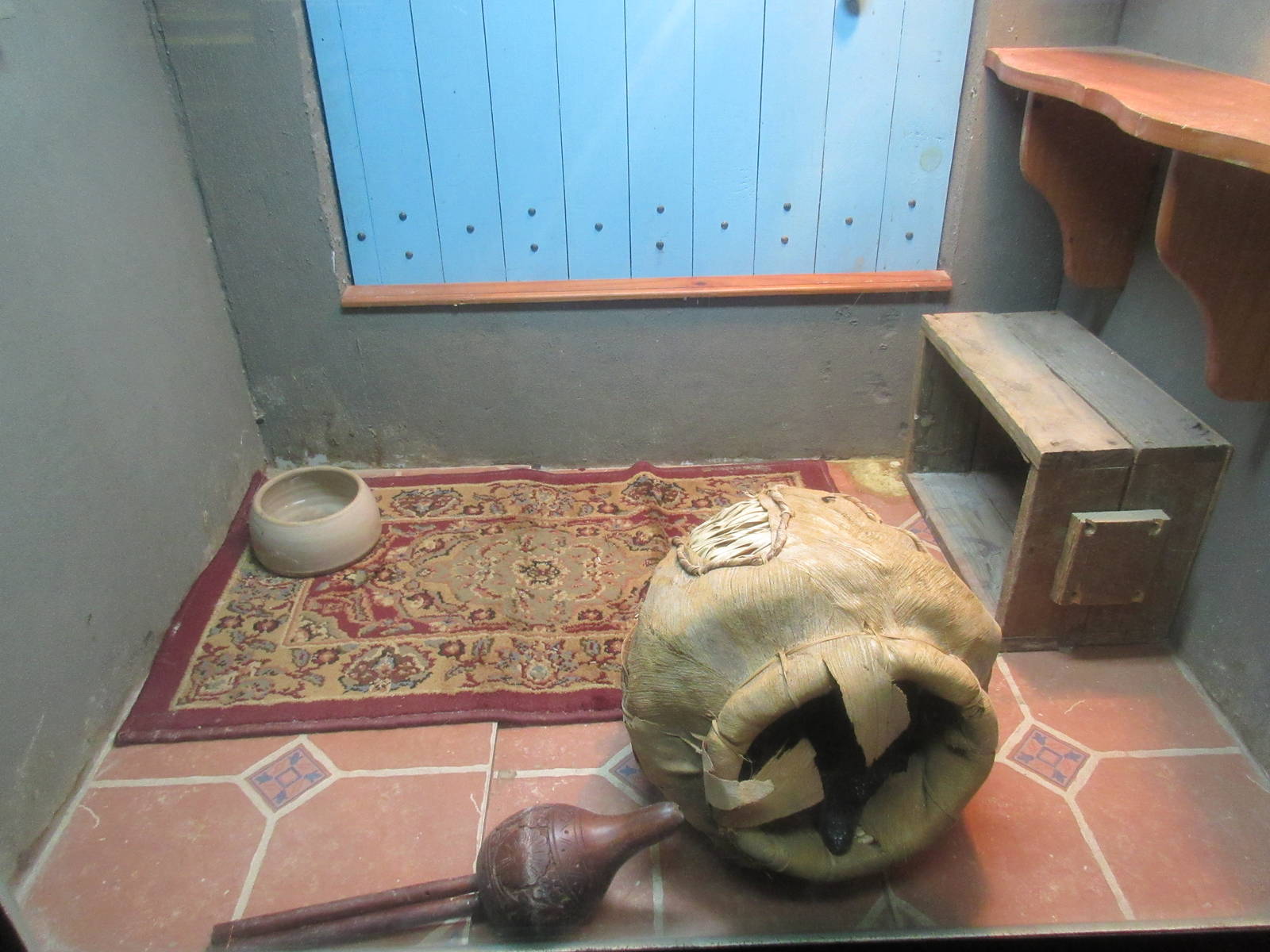 Reptile House - Moroccan Cobra Exhibit