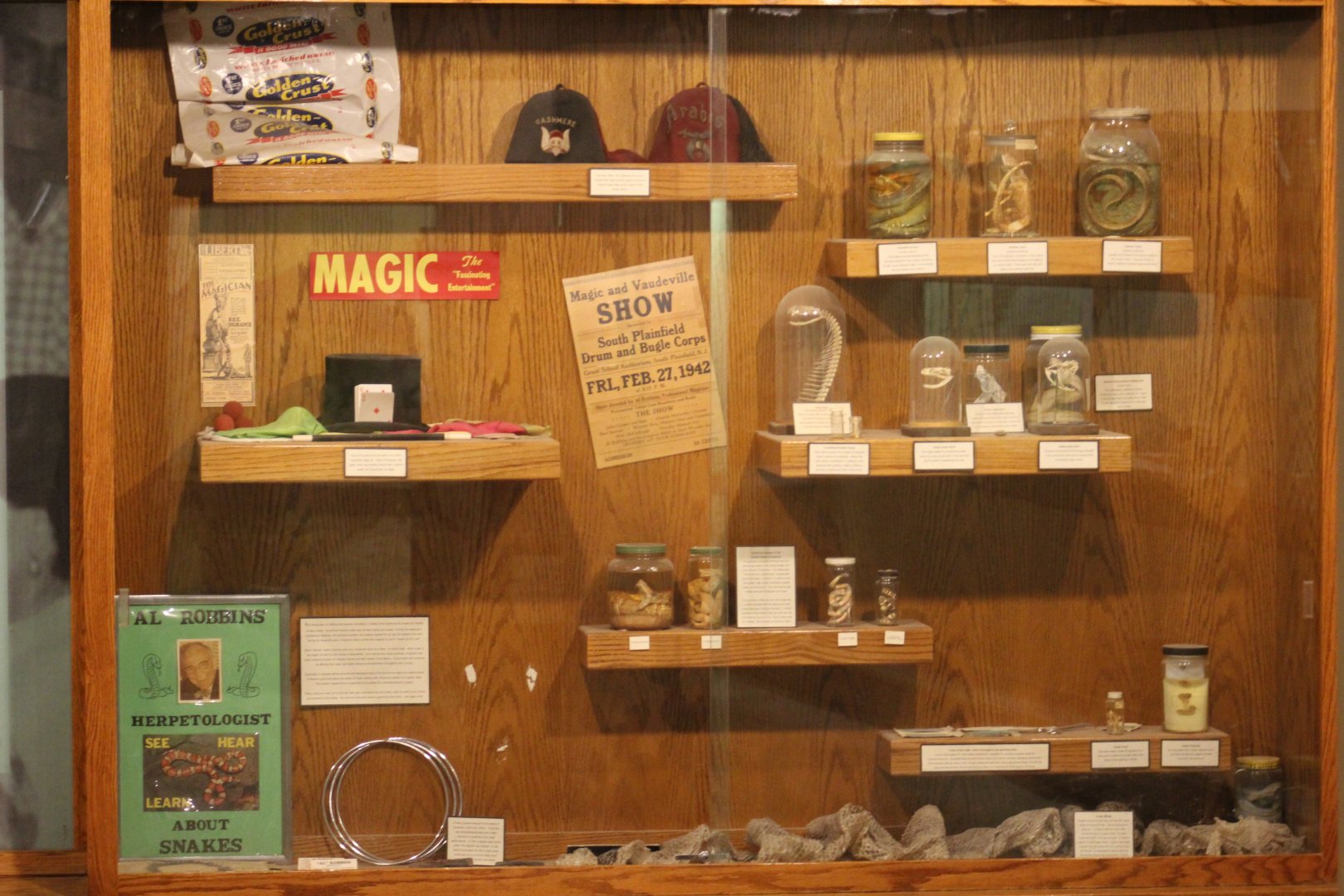 Reptile House Museum Display