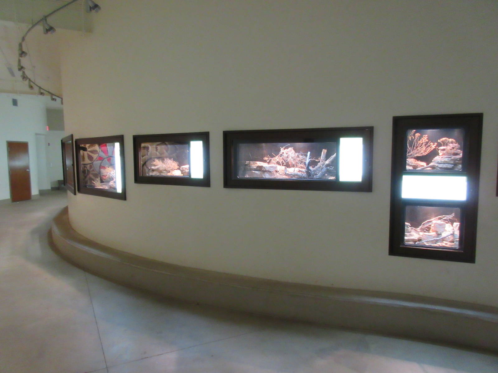 Reptile House (New in 2014) - curving wall with 16 terrariums