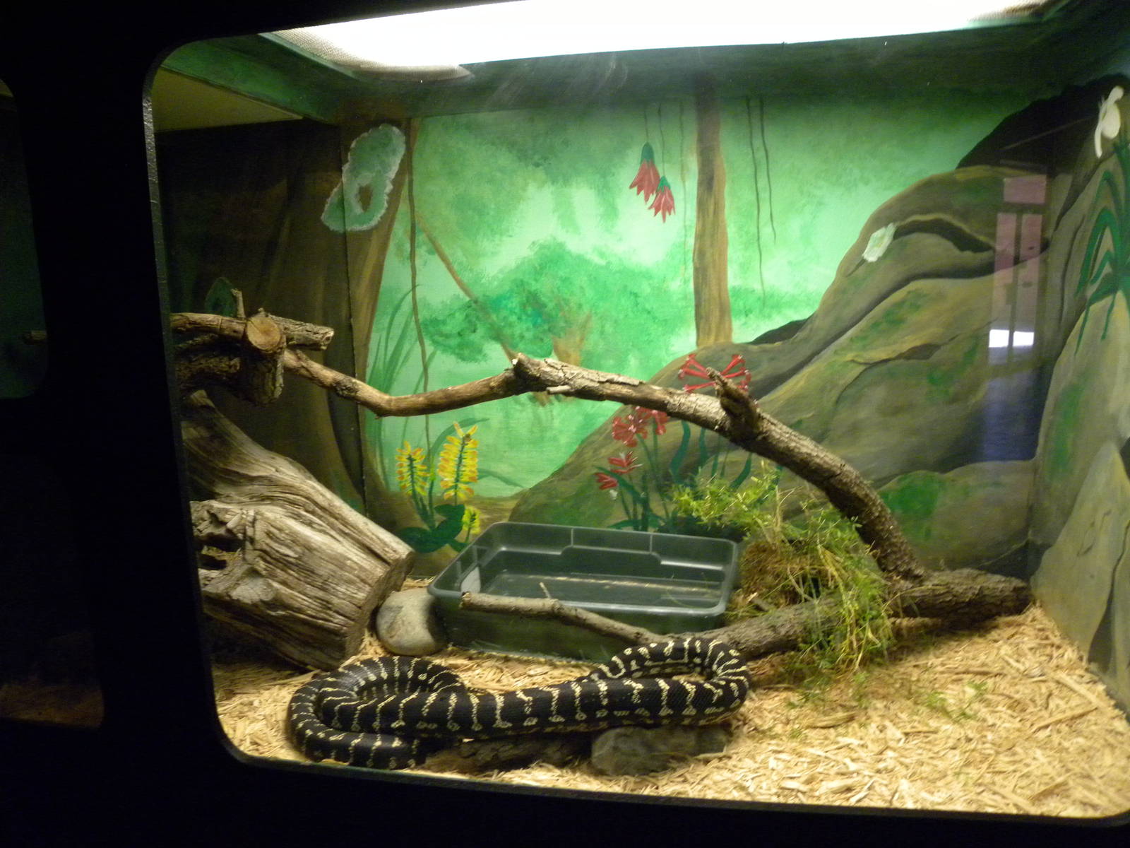 Reptile House/Nocturnal House