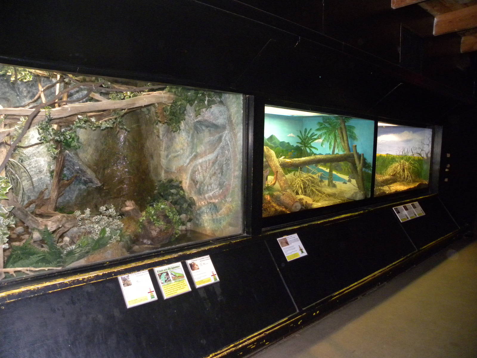 Reptile House/Nocturnal House