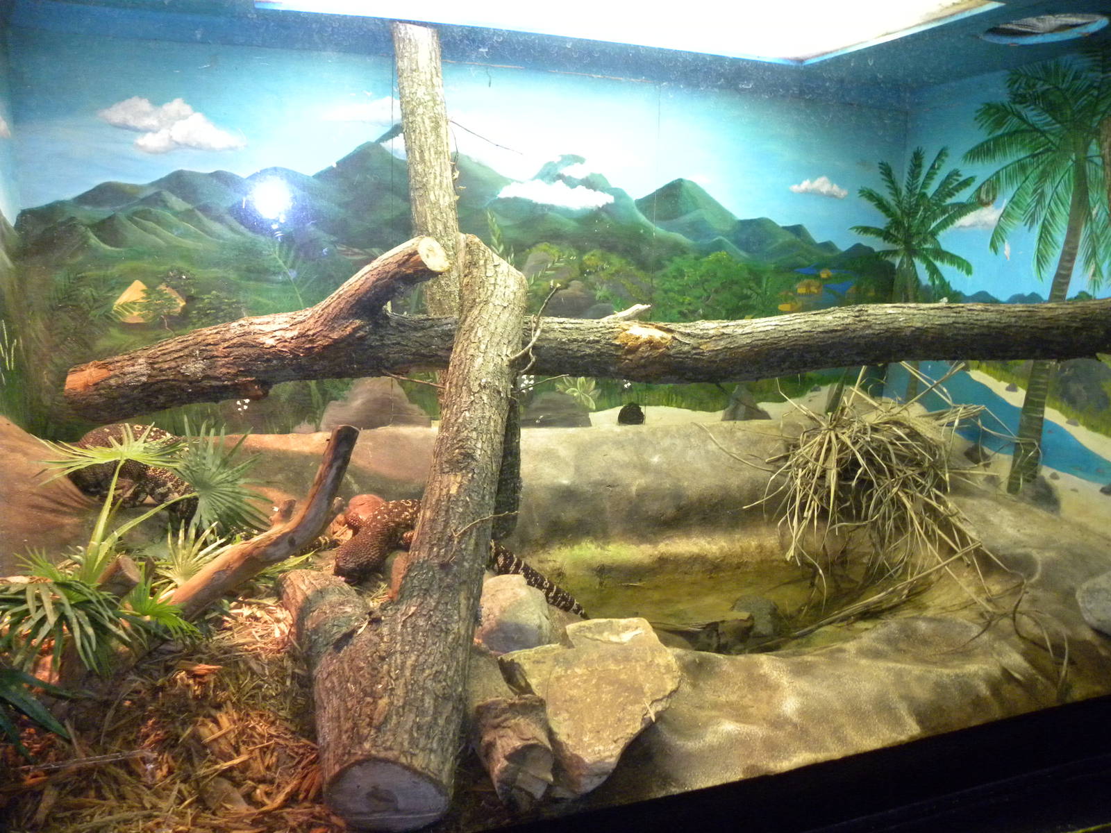 Reptile House/Nocturnal House