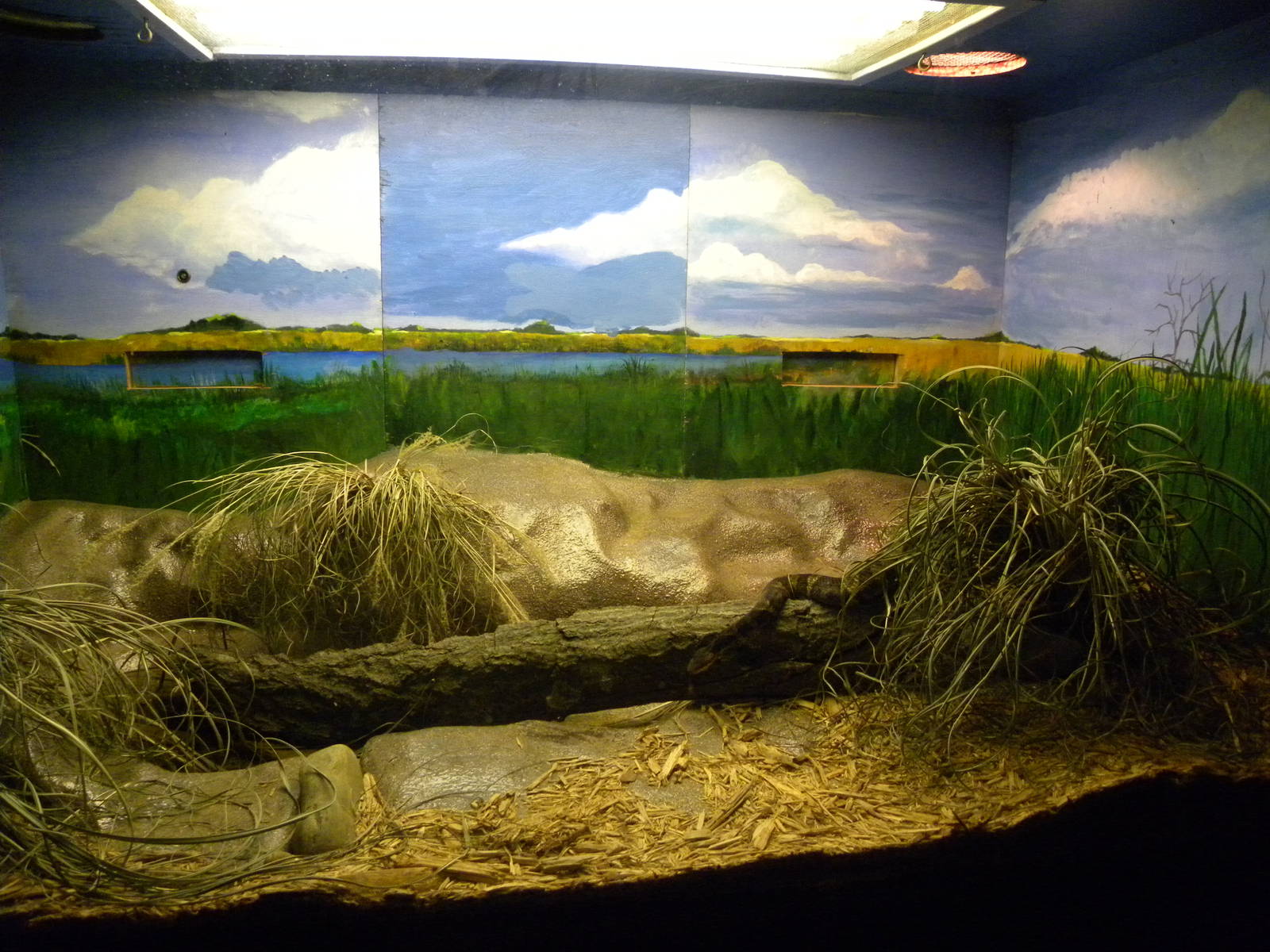 Reptile House/Nocturnal House