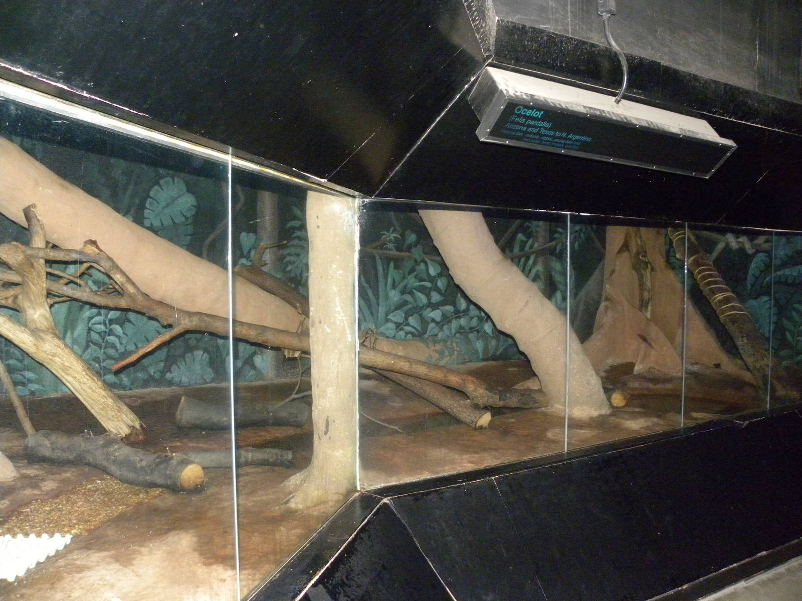 Reptile House/Nocturnal House