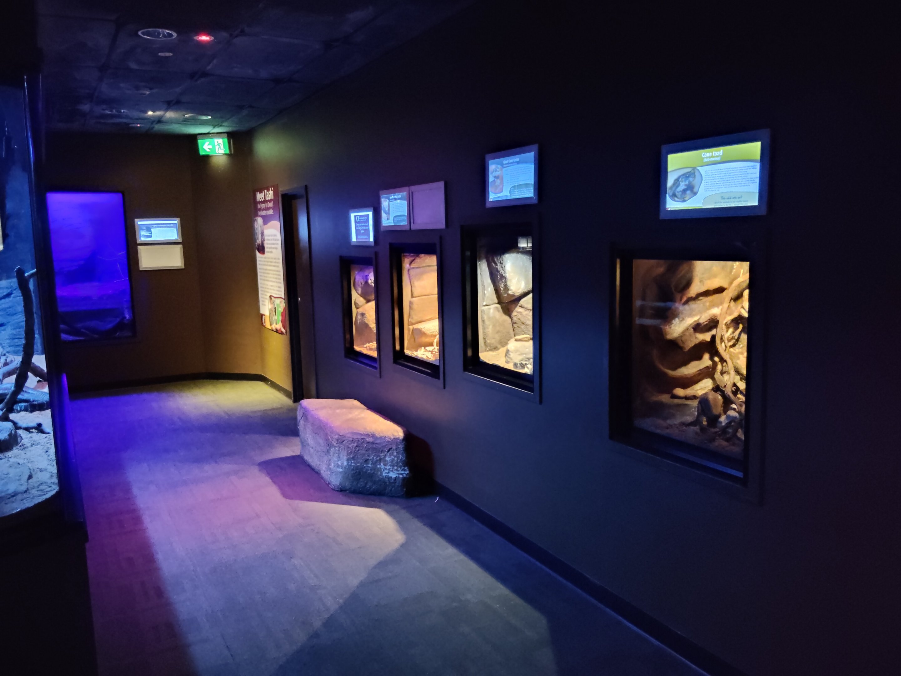 Reptile House (nocturnal)